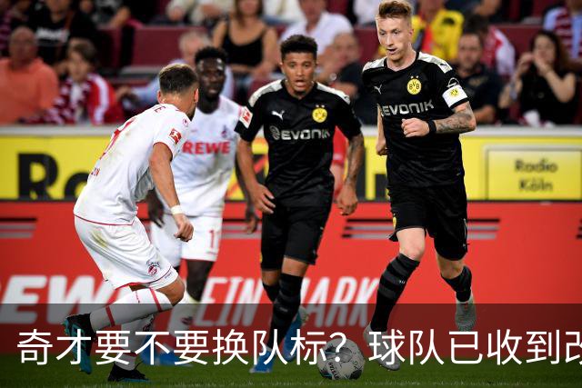 奇才要不要换队标？球队已收到改版请求，球迷投票定夺